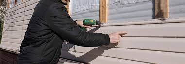 Best Custom Siding Design  in Tichigan, WI